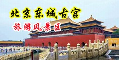 抽插女子高潮尖叫视频中国北京-东城古宫旅游风景区